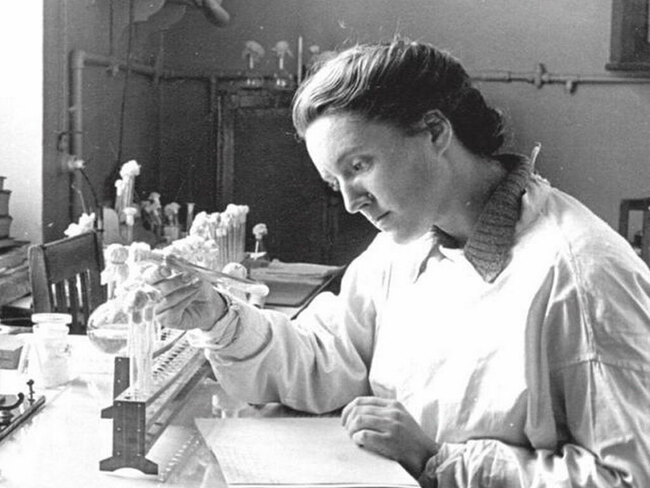 Талантливый учёный-микробиолог и эпидемиолог уберегла Сталинград во время Великой Отечественной войны от эпидемии холеры. Она создала первые образцы советских антибиотиков, таких как пенициллин и стрептомицин. Получила прозвище «Госпожа Пенициллин». Её от