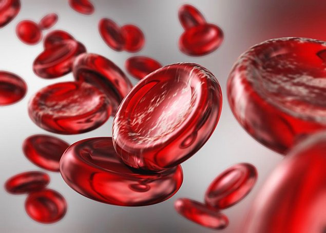 Как называется жидкое содержимое крови?