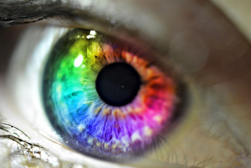 Какой цвет глаз встречается у людей реже всего?