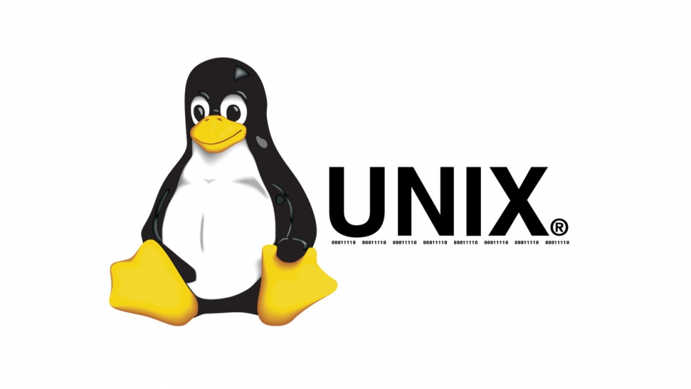 Какой исходный код UNIX?