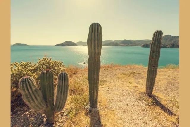 Назови столицу Мексики