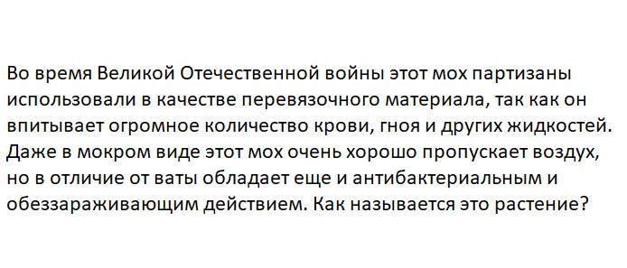 Ответьте на вопрос