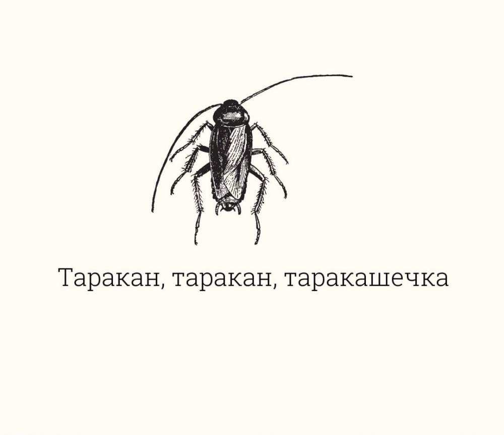 Как называется средство выразительности, которое написано на картинке?