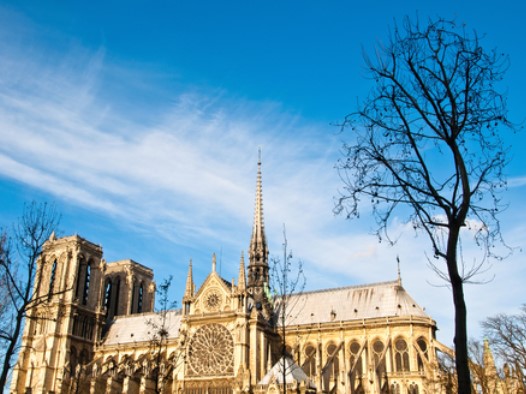 Каких фантастических животных с львиными головами вы сможете увидеть на соборе Парижской Богоматери?