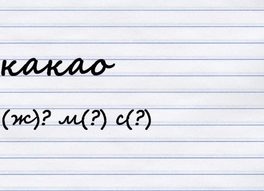Какого рода существительное?
