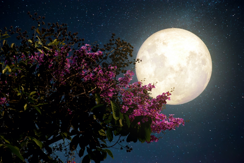 Что считалось началом месяца в лунном календаре?