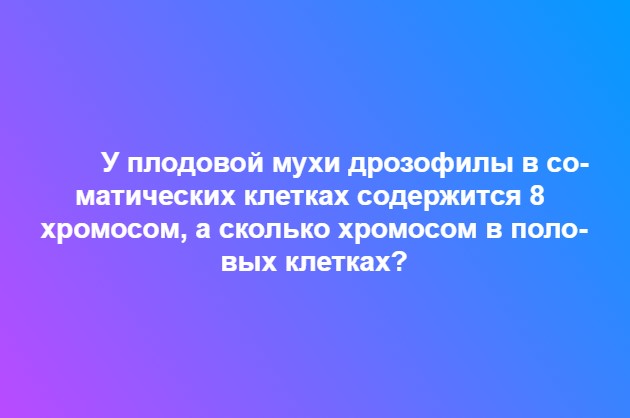 Ответьте на вопрос