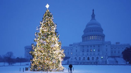 Кто зажигает рождественскую ель на лужайке Белого дома в Вашингтоне?
