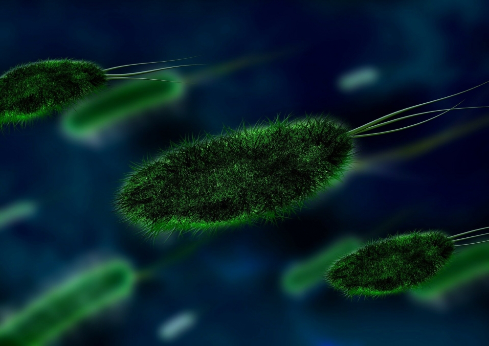 Бактерии передвигаются при помощи