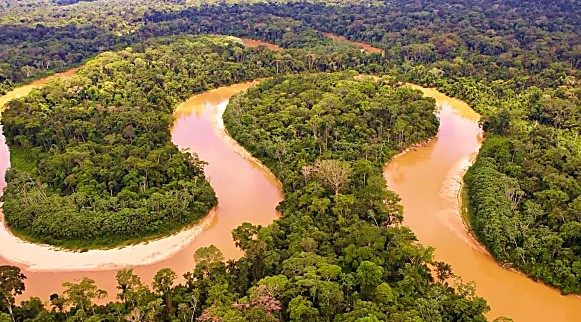 На какой континент надо отправиться, чтобы полюбоваться самой длинной рекой в мире?