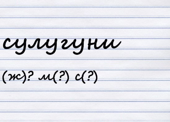 Какого рода существительное?