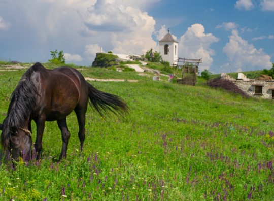 Как пишется название столицы Молдавии?