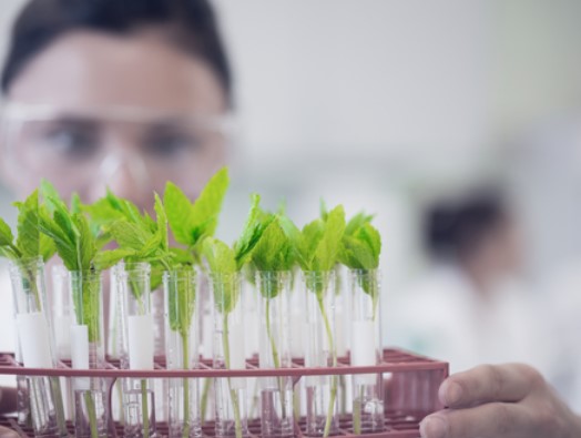 Что изучает палеоэнтомология?