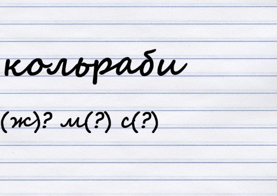 Какого рода существительное?