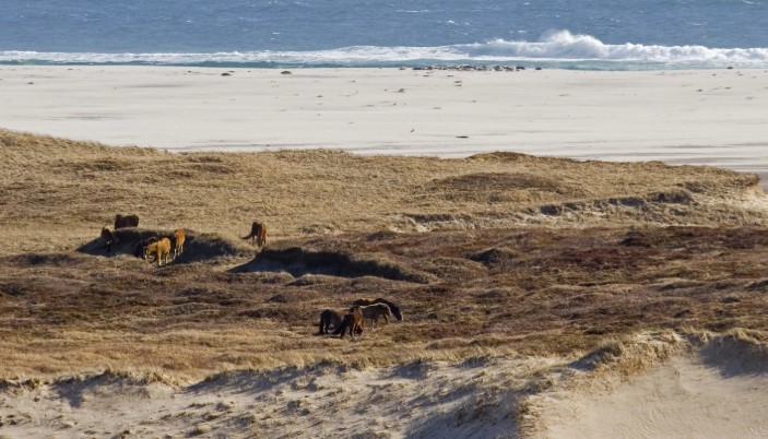 Какой остров называют «Северным Кладбищем Атлантики»?