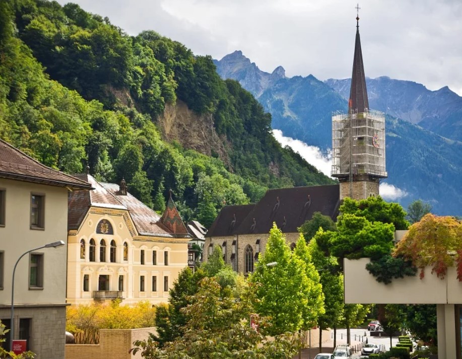 Какая из перечисленных ниже экономических отраслей занимает в княжестве первое место?