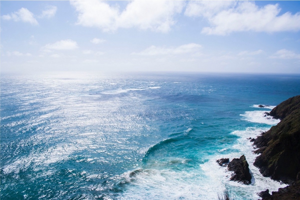  Какое из представленных морей принадлежит бассейну Тихого океана?