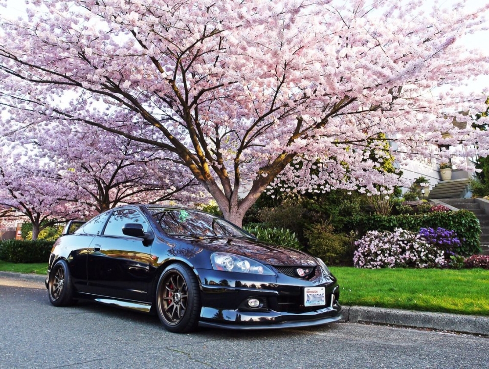 Термин, распространённый в отношении автомобилей (как и запчастей), продающихся на рынке Японии, который также отражает японскую автомобильную культуру.