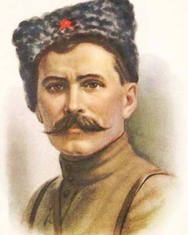 В 1919 году большевик Михаил Фрунзе предложил Чапаеву возглавить отдельную б﻿ригаду. Кто был назначен комиссаром формирования?