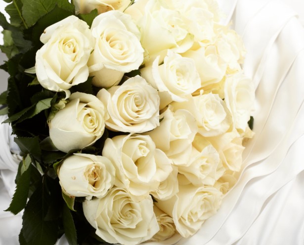 Какой цветок не размножается с помощью луковиц?