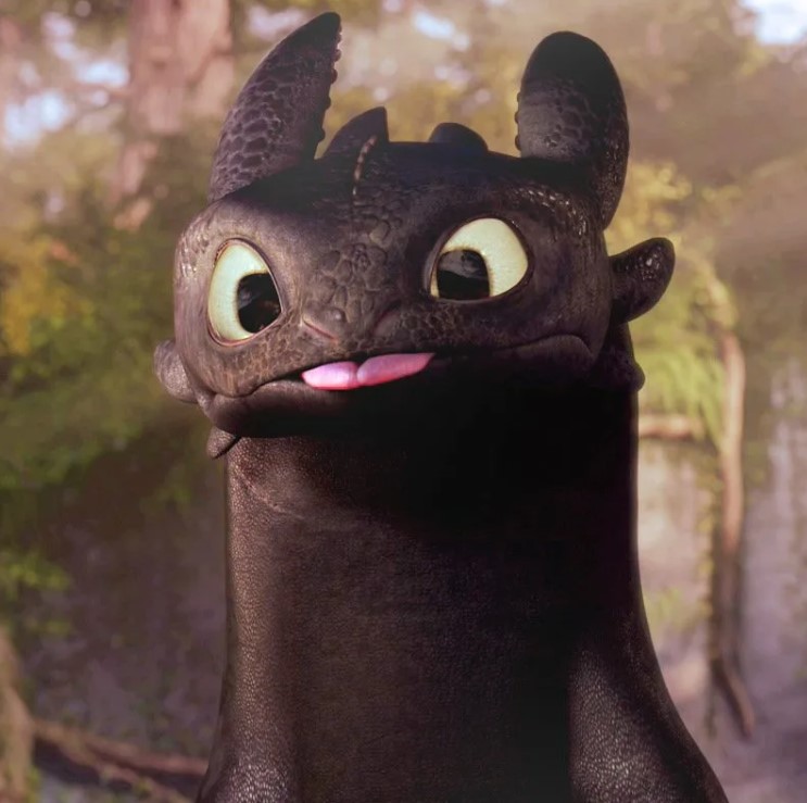  Как зовут этого очаровательного зверя из мультфильма «Как приручить дракона»?