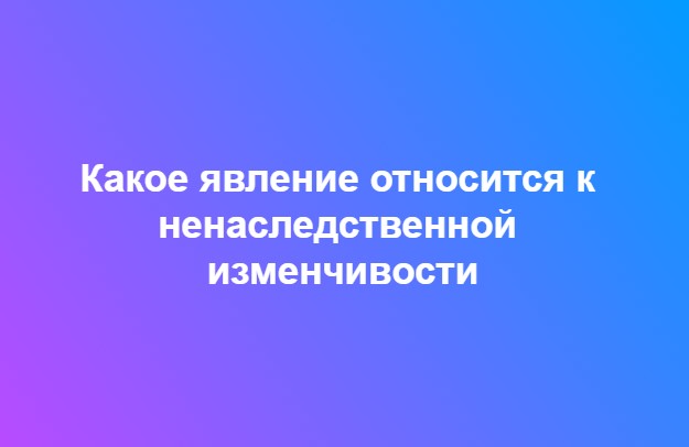 Ответьте на вопрос