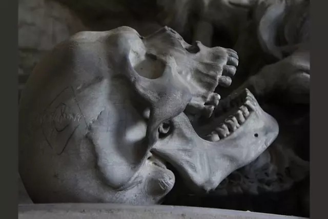 Внутри какой кости расположен орган слуха и равновесия?