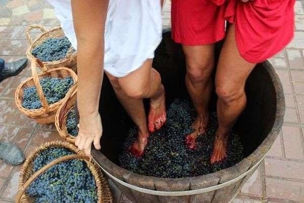 Как думаете, зачем топтать виноград ногами?