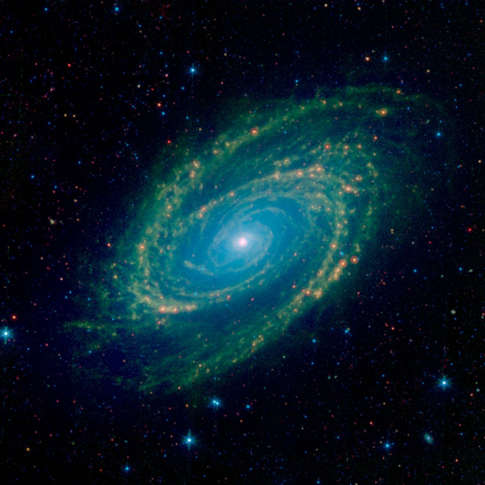  У каких спиральных галактик ядро пересекается по диаметру поперечной полосой: