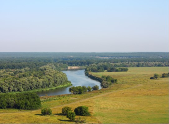 Заехав в Воронежскую область, вы можете услышать непонятное слово «тигули». Что оно значит?