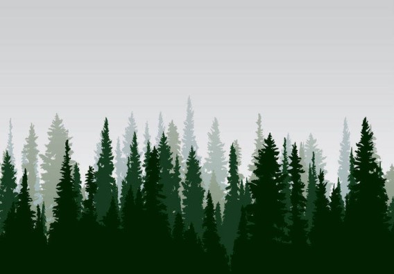 На опушке стоят три сосны. На каждой сосне по три больших ветки и по 3 маленьких. На каждой маленькой ветке растет по яблоку. Сколько всего яблок на этих деревьях?