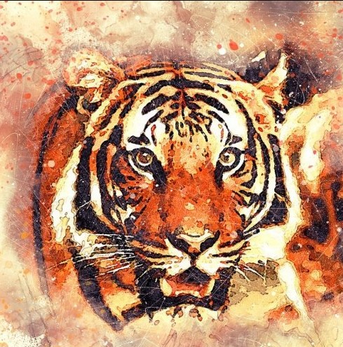 Почему Шер Хан преследовал Маугли?