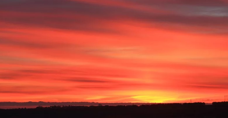 Что производила компания на заре своего существования?