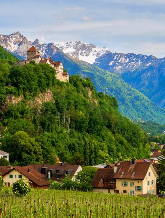 На чем специализировано местное сельское хозяйство?
