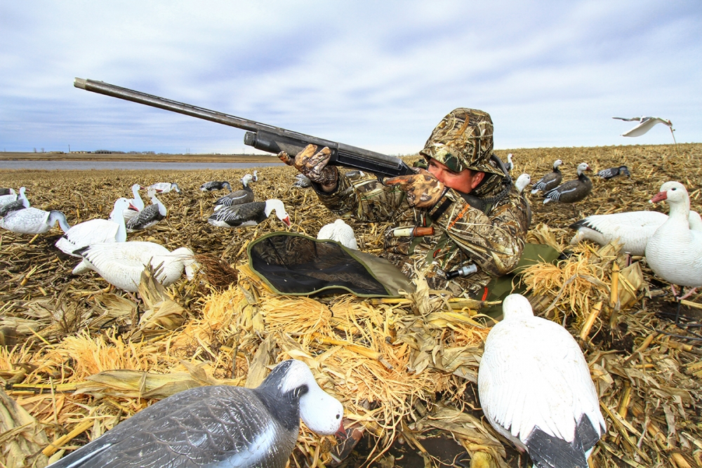 Какой калибр, нарезного оружия целесообразно применять при охоте на гусей?