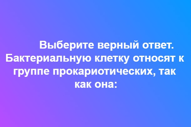 Ответьте на вопрос
