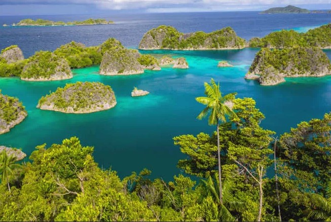 Недалеко от северо-западного побережья какого континента расположены Канарские острова?