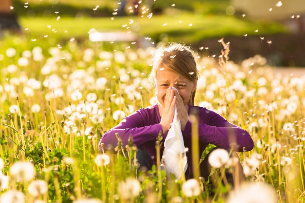 Чем можно спастись от аллергии во время цветения, кроме специальных таблеток?