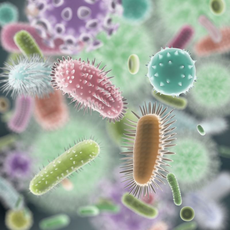 Бактерии переносят неблагоприятные условия в состоянии