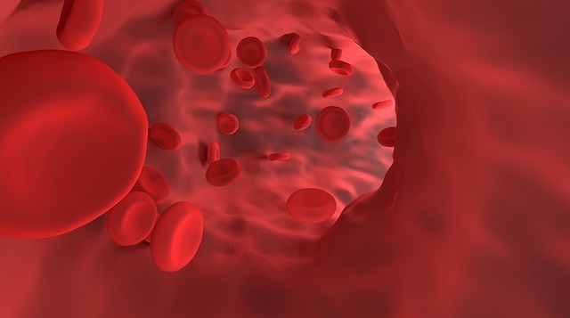 Какие клетки крови отвечают за транспорт кислорода?