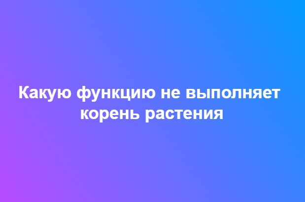 Ответьте на вопрос