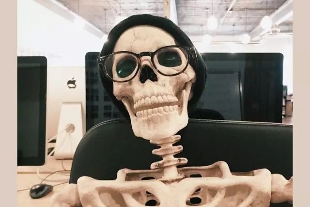 Сколько пар ребер у человека?