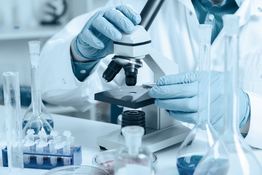 Функцию хранения генетической информации в эукариотической клетке выполняет(ют):