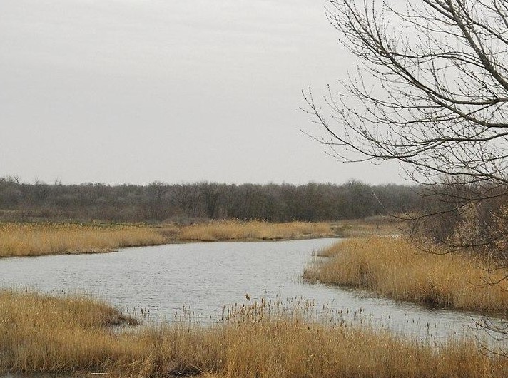 Молочный лиман азовское море карта