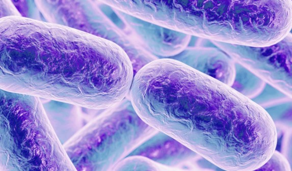 Какая наука расскажет вам о белках и их путешествии и перерождении в организме?