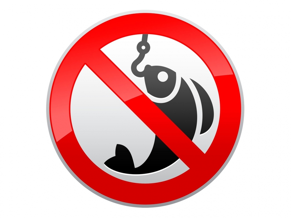 Сколько крючков разрешено брать с собой на рыбалку в весенний запрет?