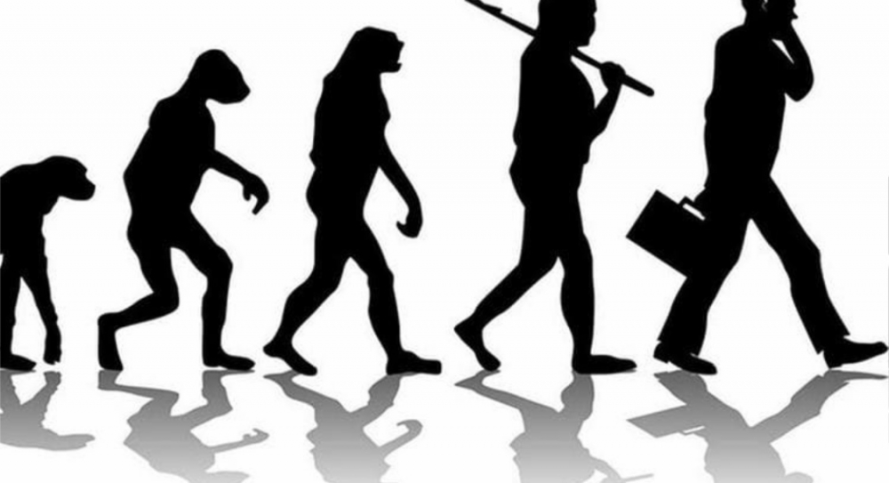 Какой учёный известен разработкой теории эволюции?