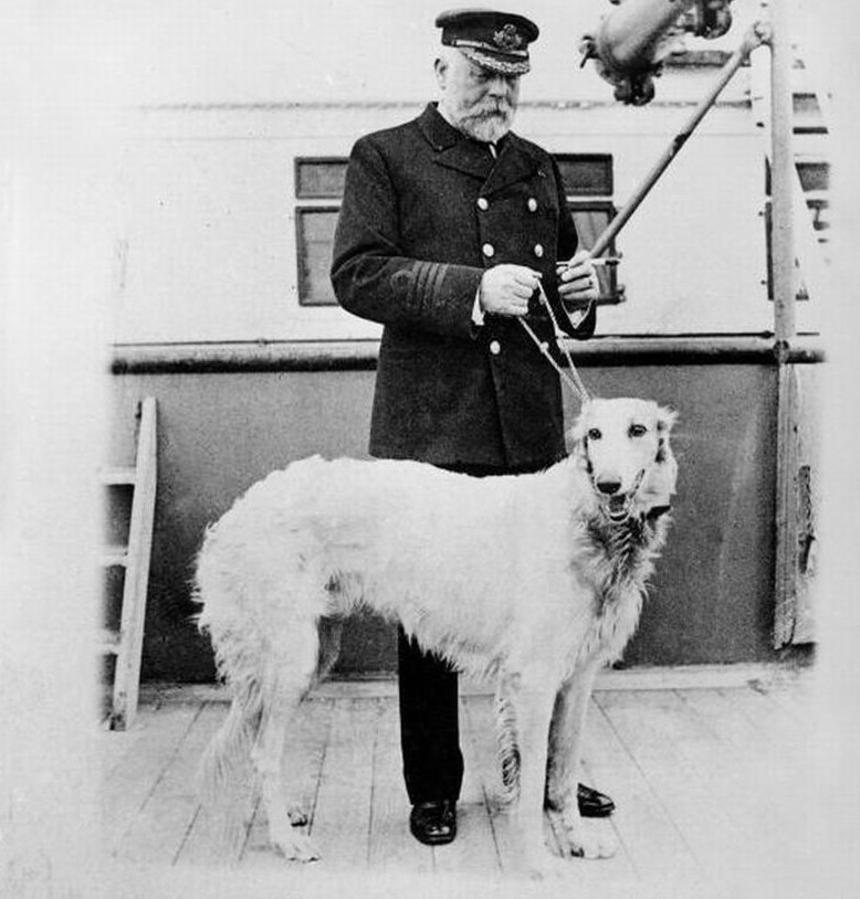 Сколько собак выжило при крушении Титаника?