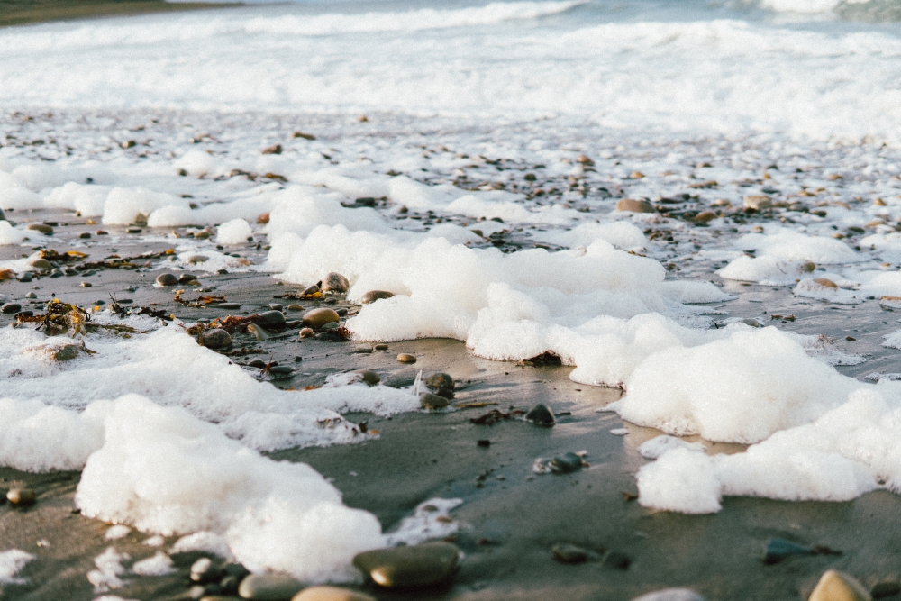 Как называется морской лед, образующийся у берега?