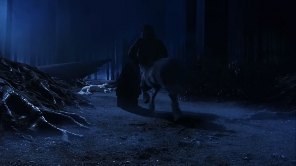 В какой части кентавр спас Гарри Поттера в Темном лесу?